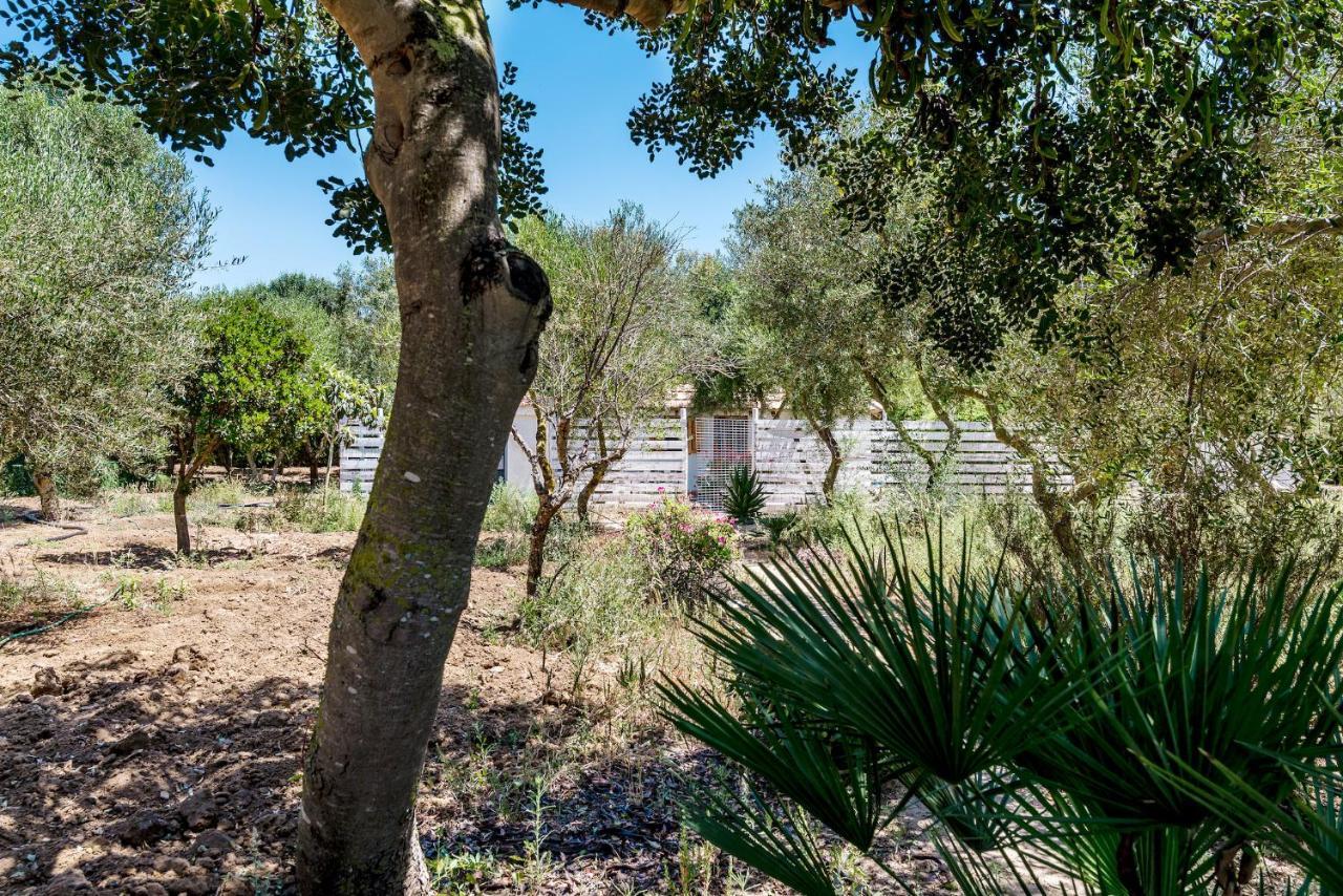 Casita-Estudio El Castano El Palmar  Zewnętrze zdjęcie